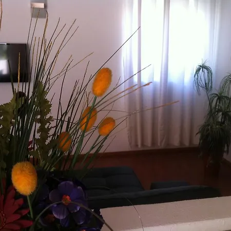 Vila Flor -